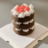1 Chocolate Strawberry Clay Cake DIY Kit