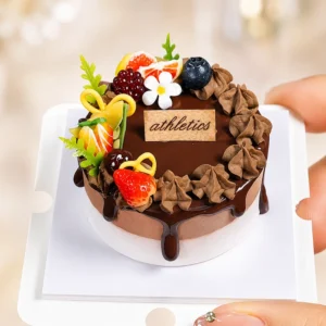 Finished example of a DIY miniature chocolate fruit cake kit with berry toppings, chocolate drip details, cream-like swirls, and tiny flower decor