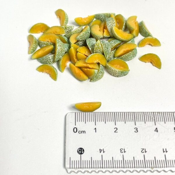 1783850355047-1259063094 Handmade Miniature Cantaloupe Slices