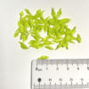 1783850475063-1114432384 Handmade Miniature Green Leaves for Cake Decoration