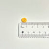 Miniature yellow peach (1) Handmade Miniature Yellow Peach
