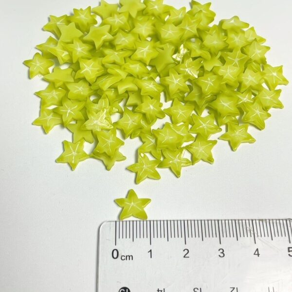 Starfruit slices1 (3) Handmade Miniature Starfruit Slices