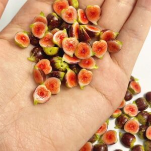 WHG-QP (1) Handmade Miniature Fig Slices for Cake Decoration