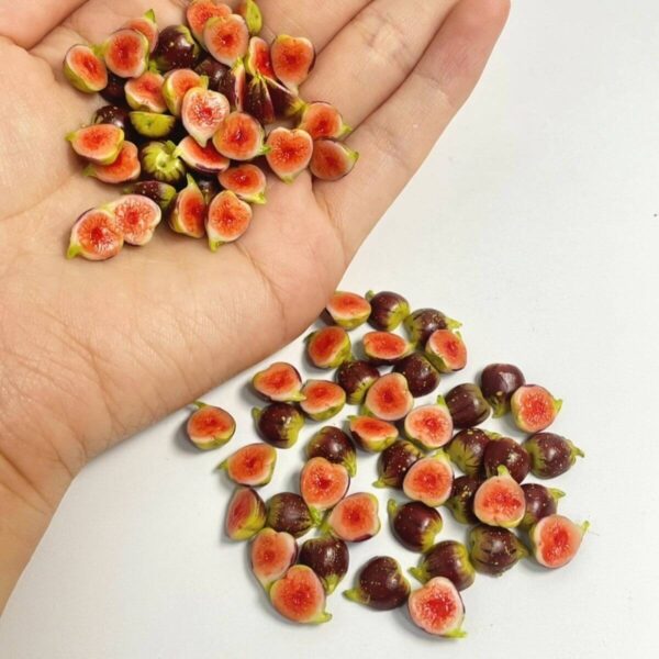 WHG-QP (2) Handmade Miniature Fig Slices for Cake Decoration