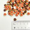 WHG-QP (4) Handmade Miniature Fig Slices for Cake Decoration